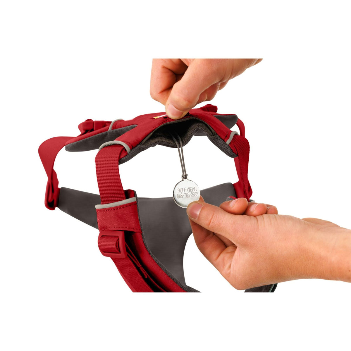 Front Range Dog Harness