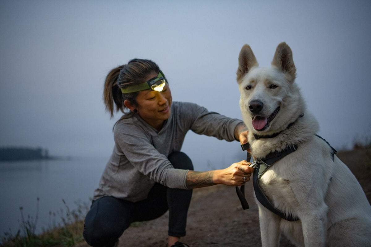 Front Range Dog Harness