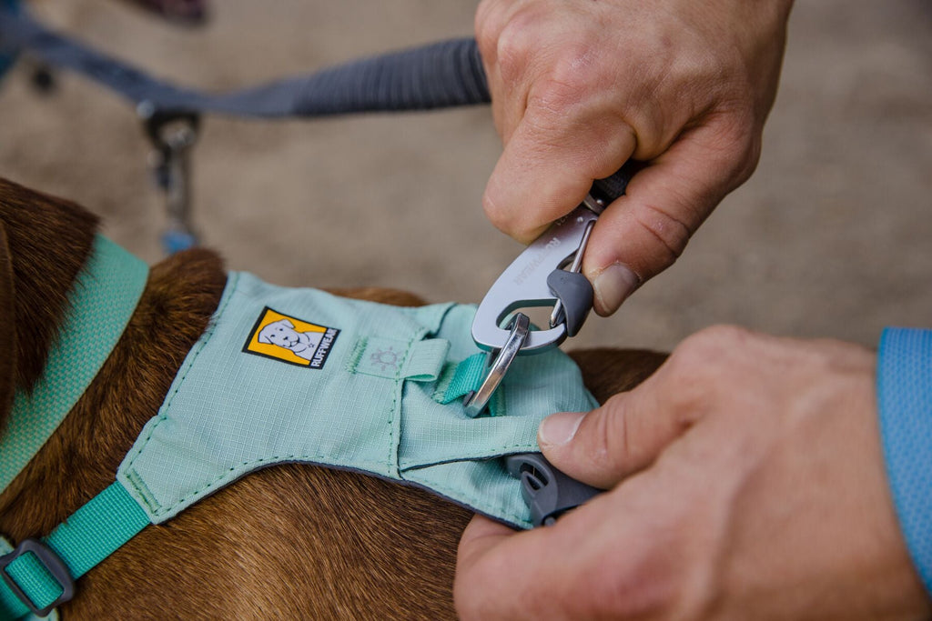 Hi & Light Lightweight Dog Harness
