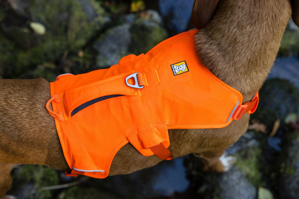 Web Master Dog Harness with Handle
