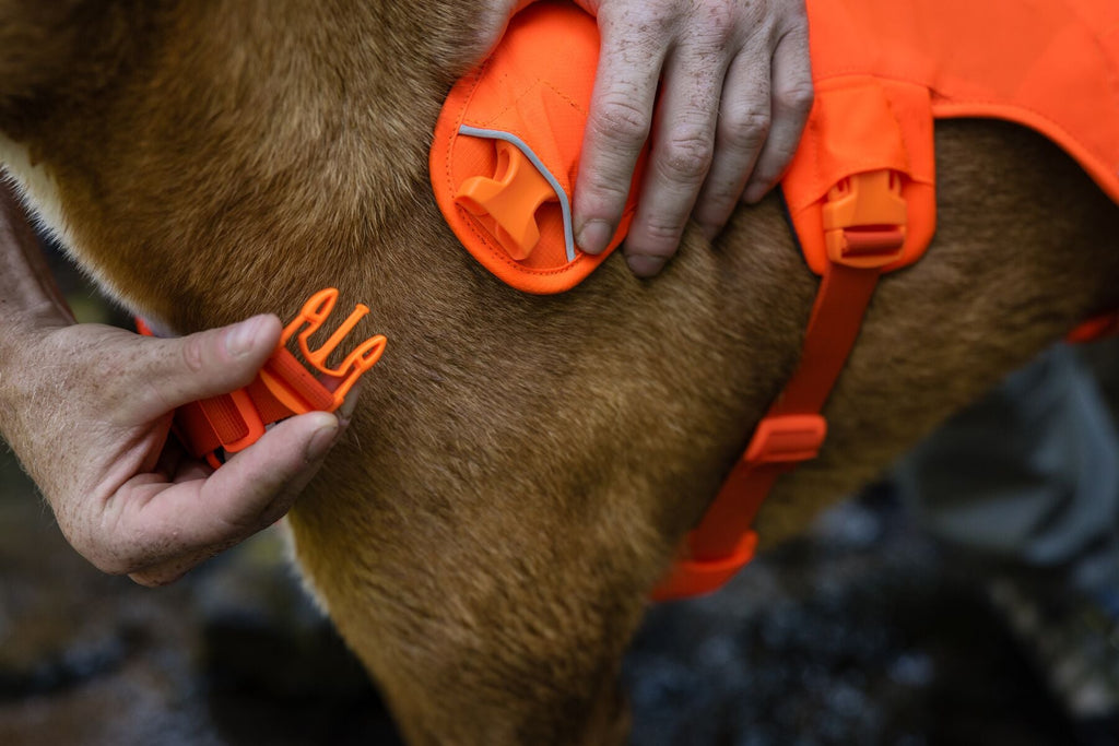 Web Master Dog Harness with Handle