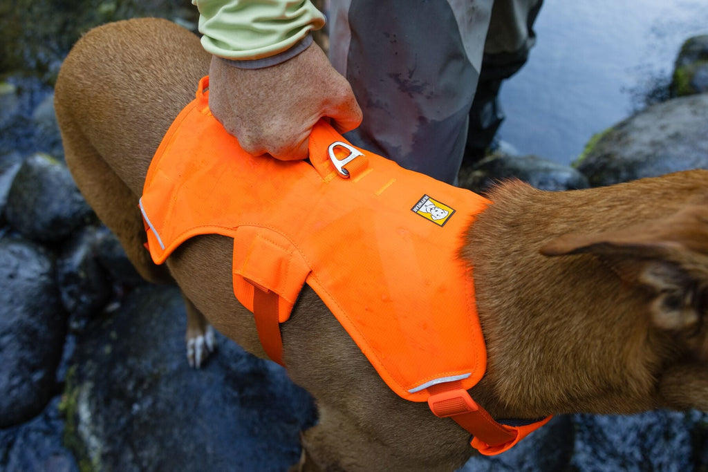 Web Master Dog Harness with Handle