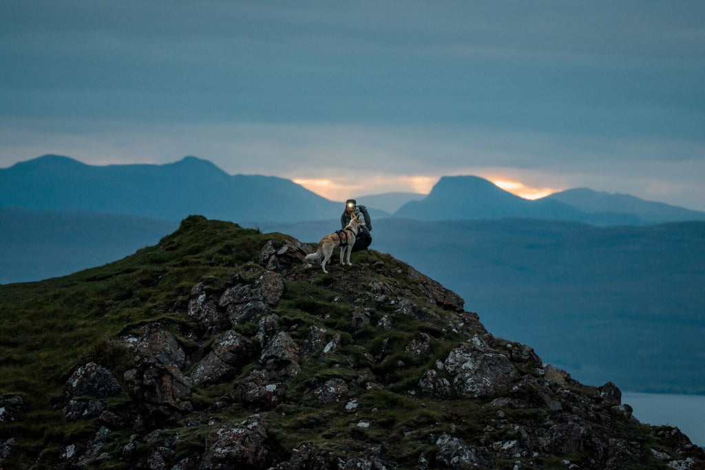 Ridgeline Dog Harness