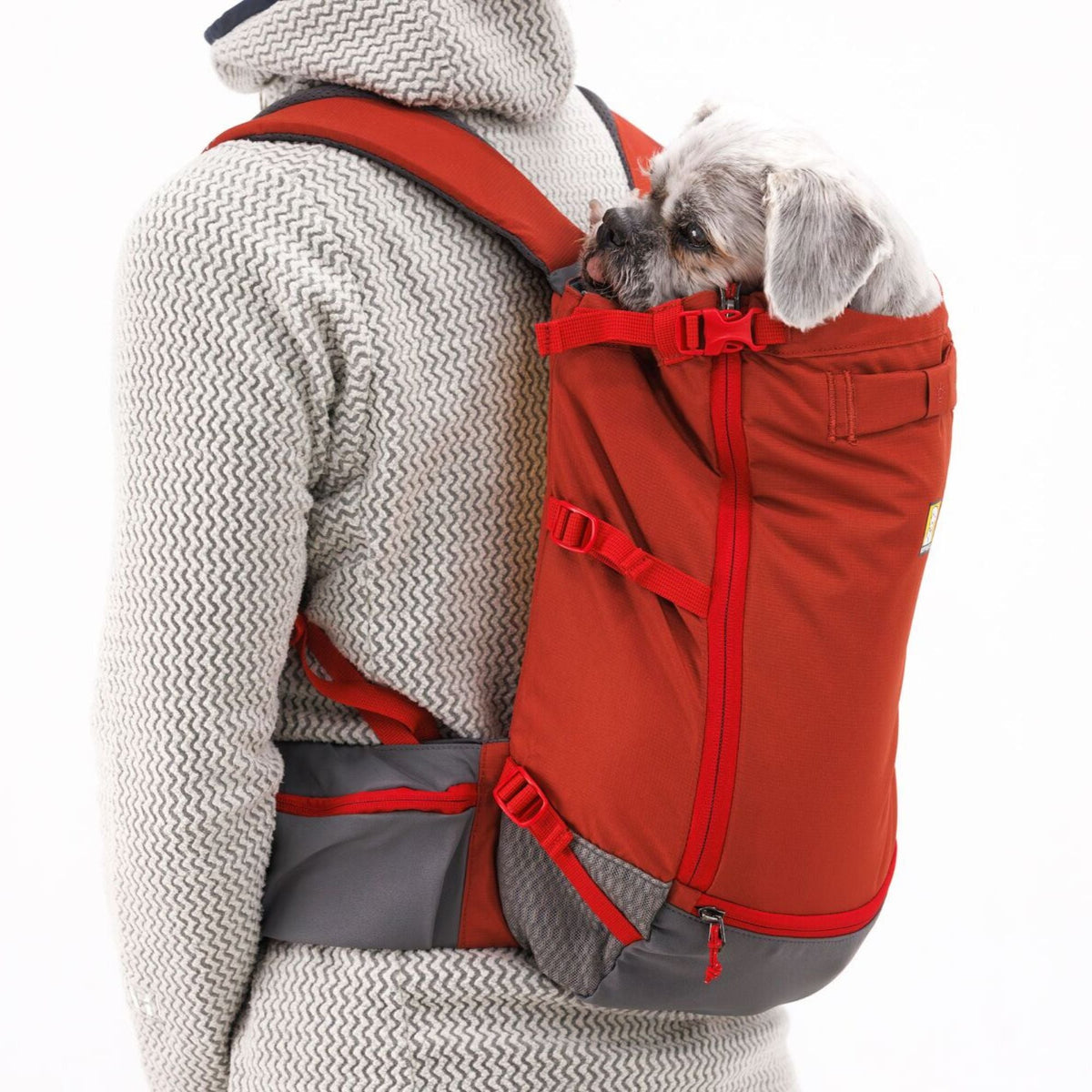 Hitch Hiker Dog Backpack Carrier