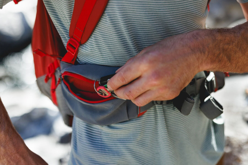 Hitch Hiker Dog Backpack Carrier