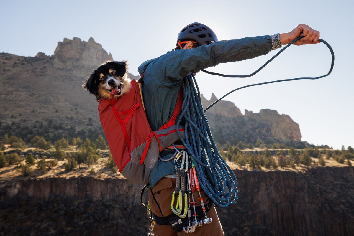 Hitch Hiker Dog Backpack Carrier