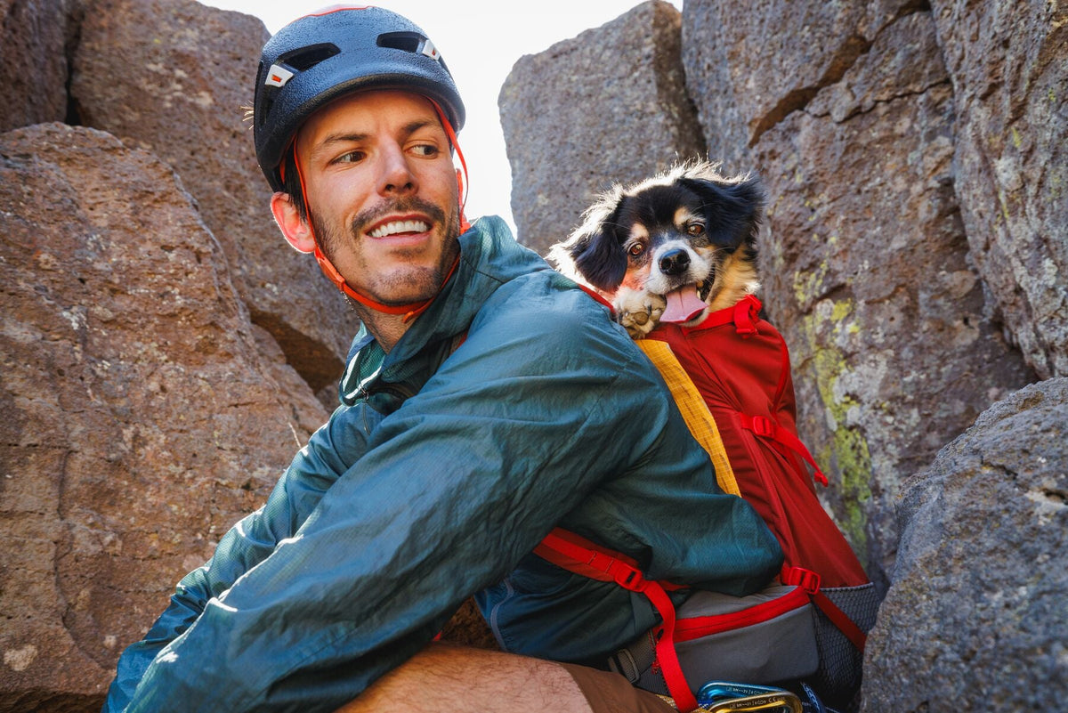 Hitch Hiker Dog Backpack Carrier