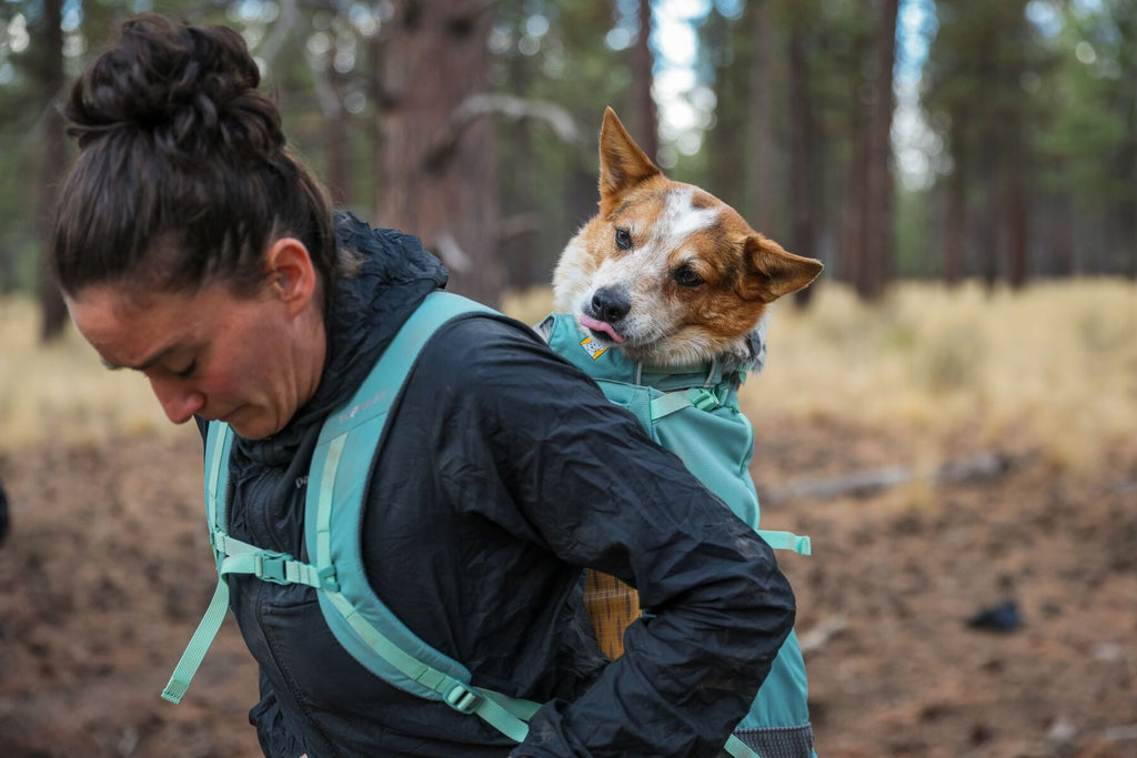 Hitch Hiker Dog Backpack Carrier