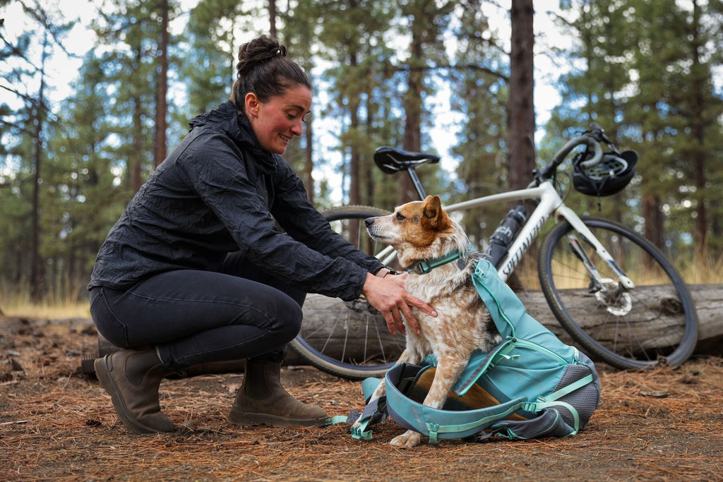 Hitch Hiker Dog Backpack Carrier