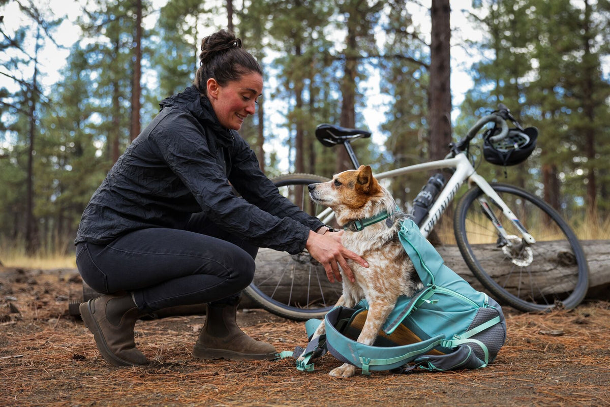 Hitch Hiker Dog Backpack Carrier