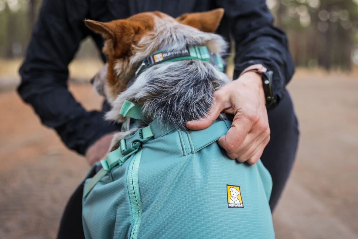 Hitch Hiker Dog Backpack Carrier