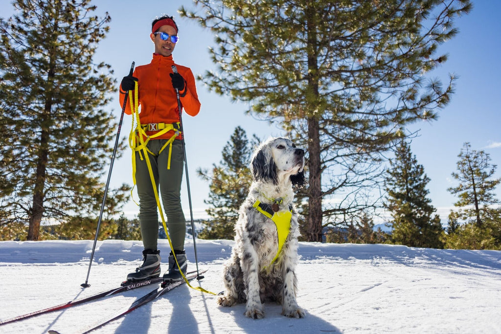 Omnijore Dog Joring System