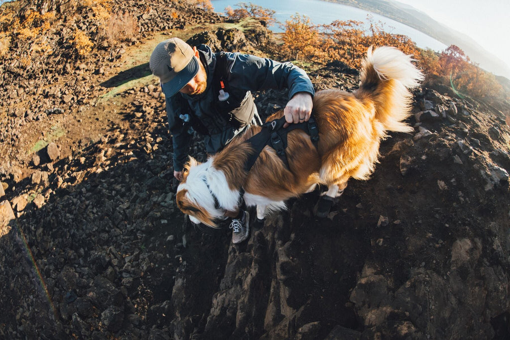 Ridgeline Dog Harness