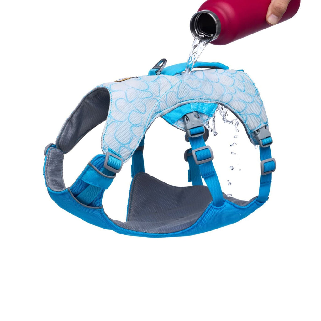 Swamp Cooler Dog Cooling Harness
