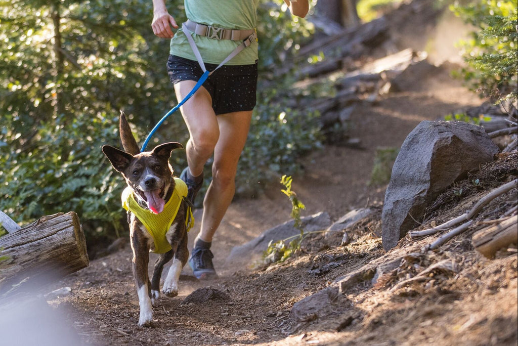 Trail Runner Running Vest