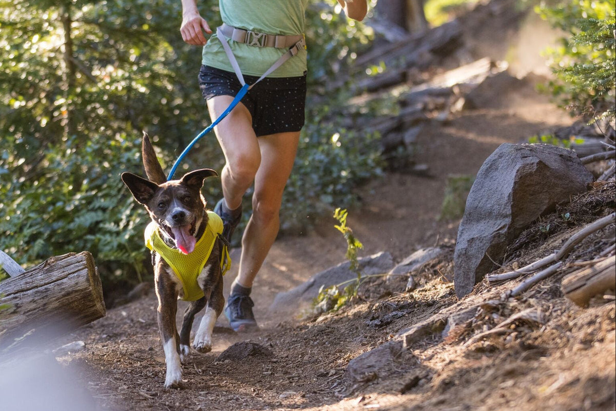 Trail Runner Running Vest