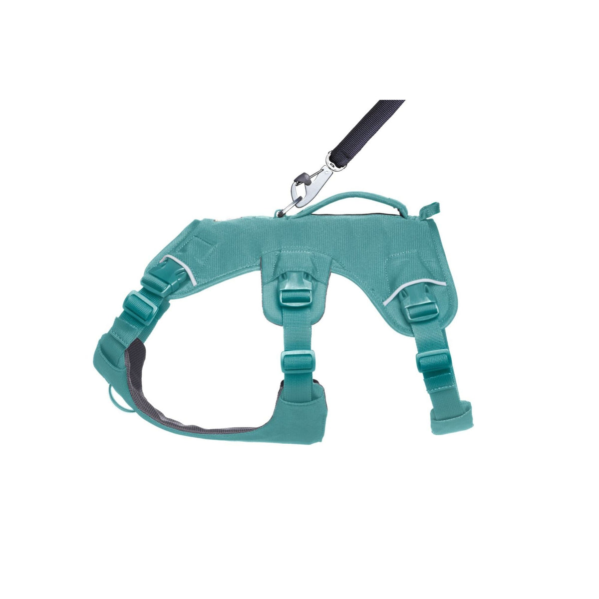 Web Master Dog Harness with Handle