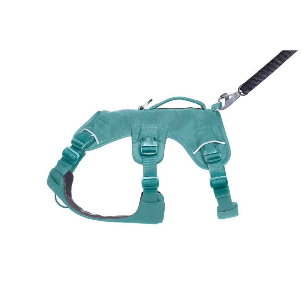 Web Master Dog Harness with Handle