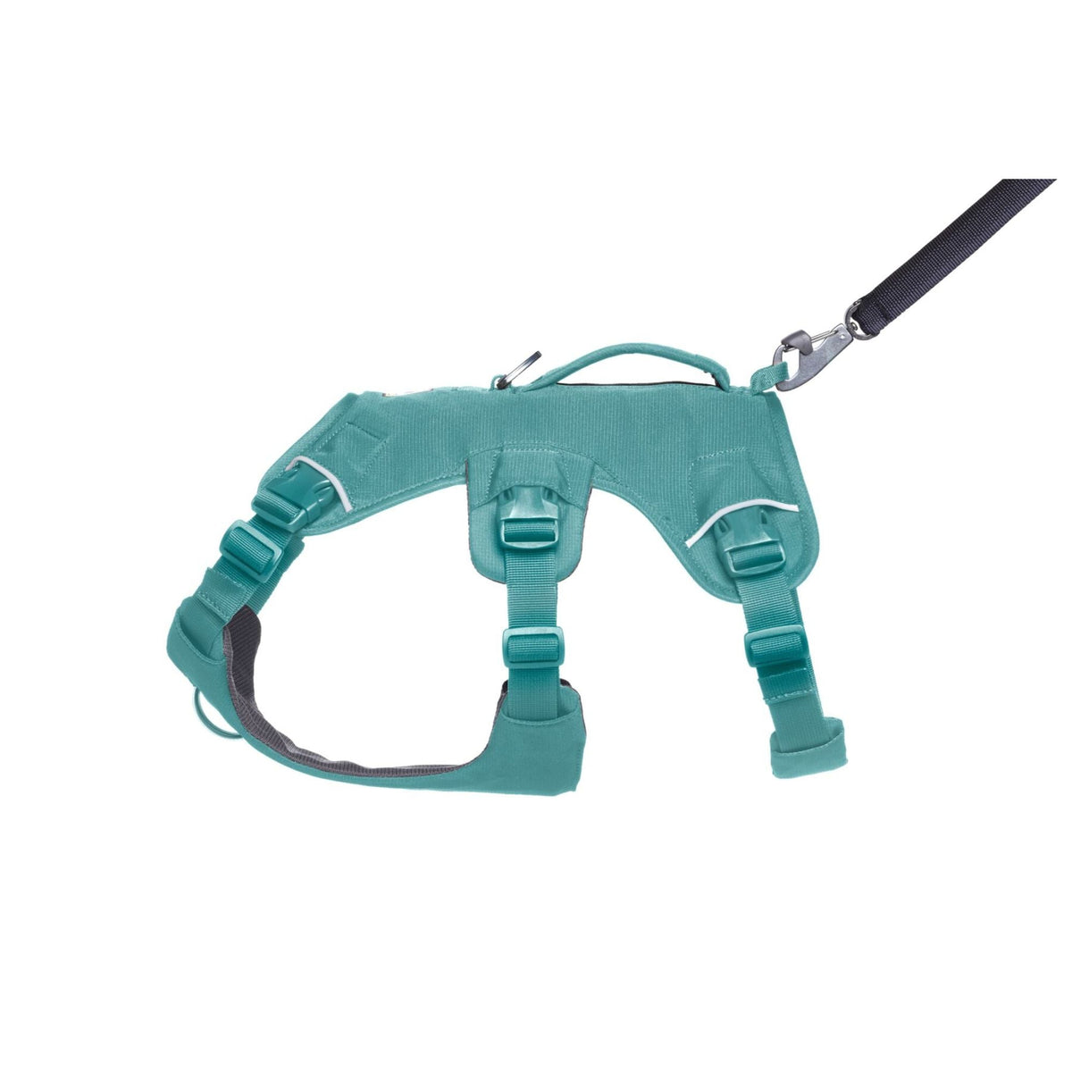 Web Master Dog Harness with Handle