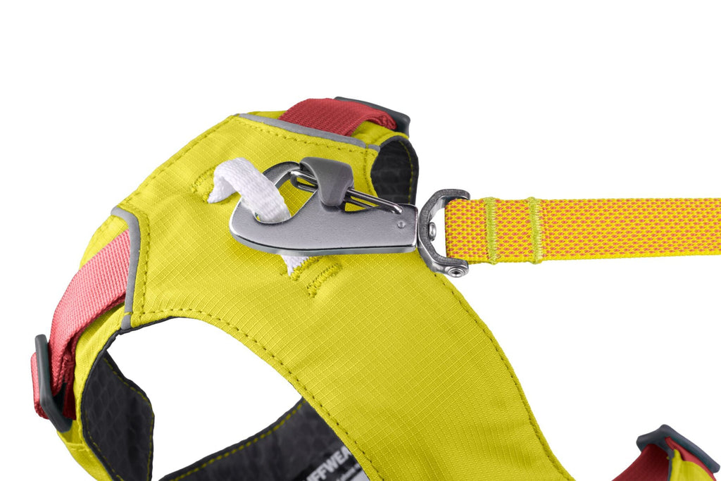 Flagline Dog Harness with Handle