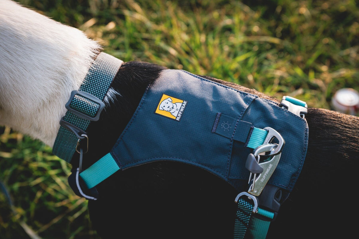 Hi & Light Lightweight Dog Harness