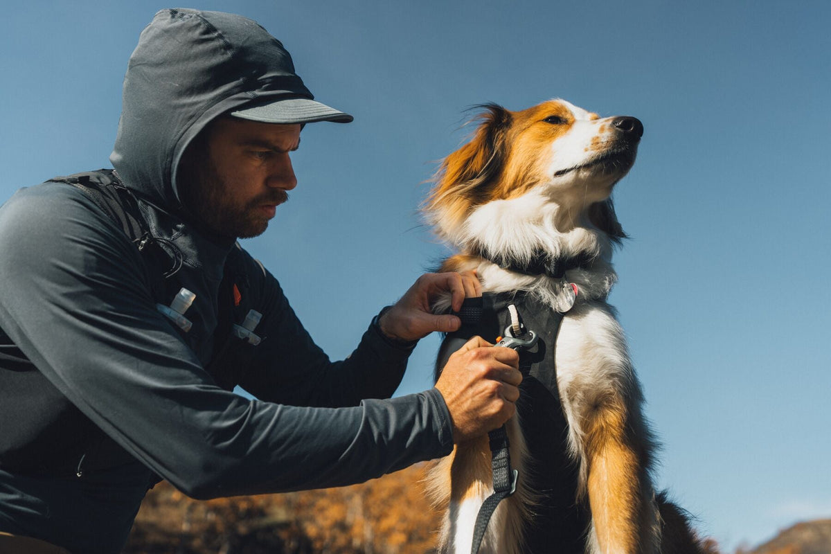 Ridgeline Dog Harness