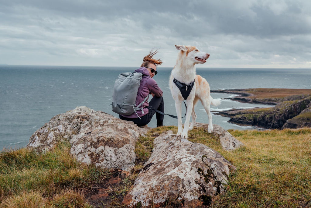 Ridgeline Dog Harness