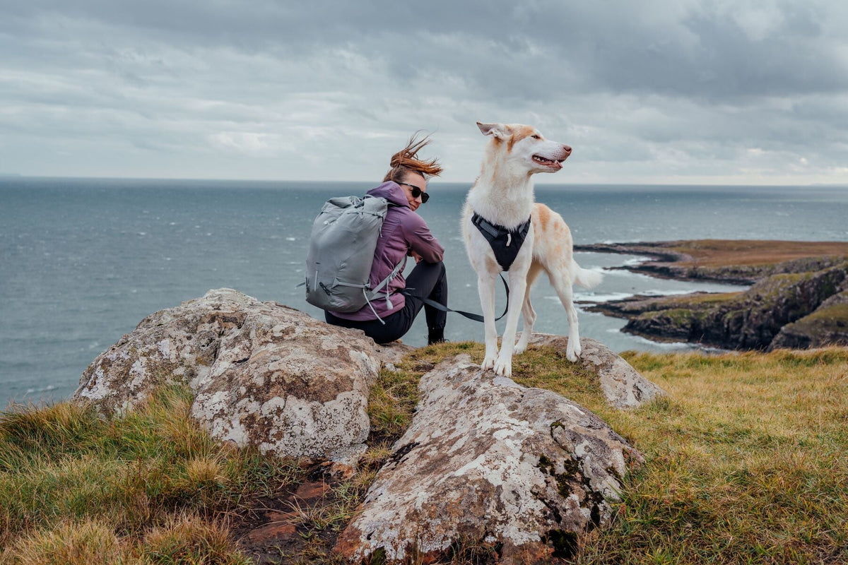 Ridgeline Dog Harness