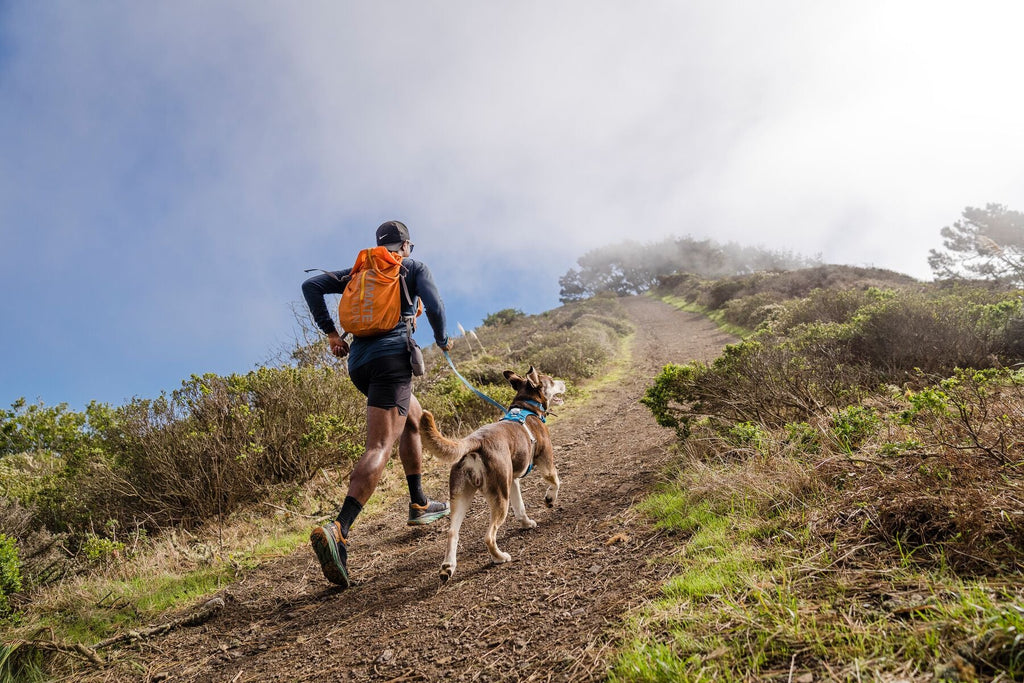 Hi & Light Lightweight Dog Harness