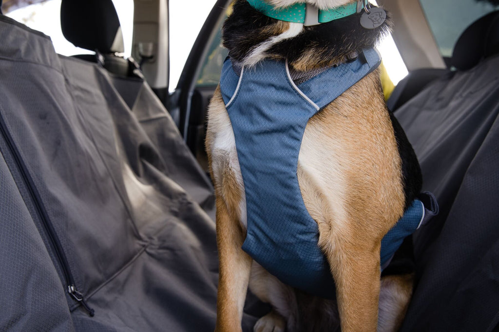 Load Up Dog Car Harness