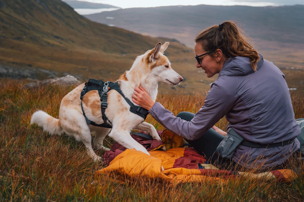 Ridgeline Dog Harness