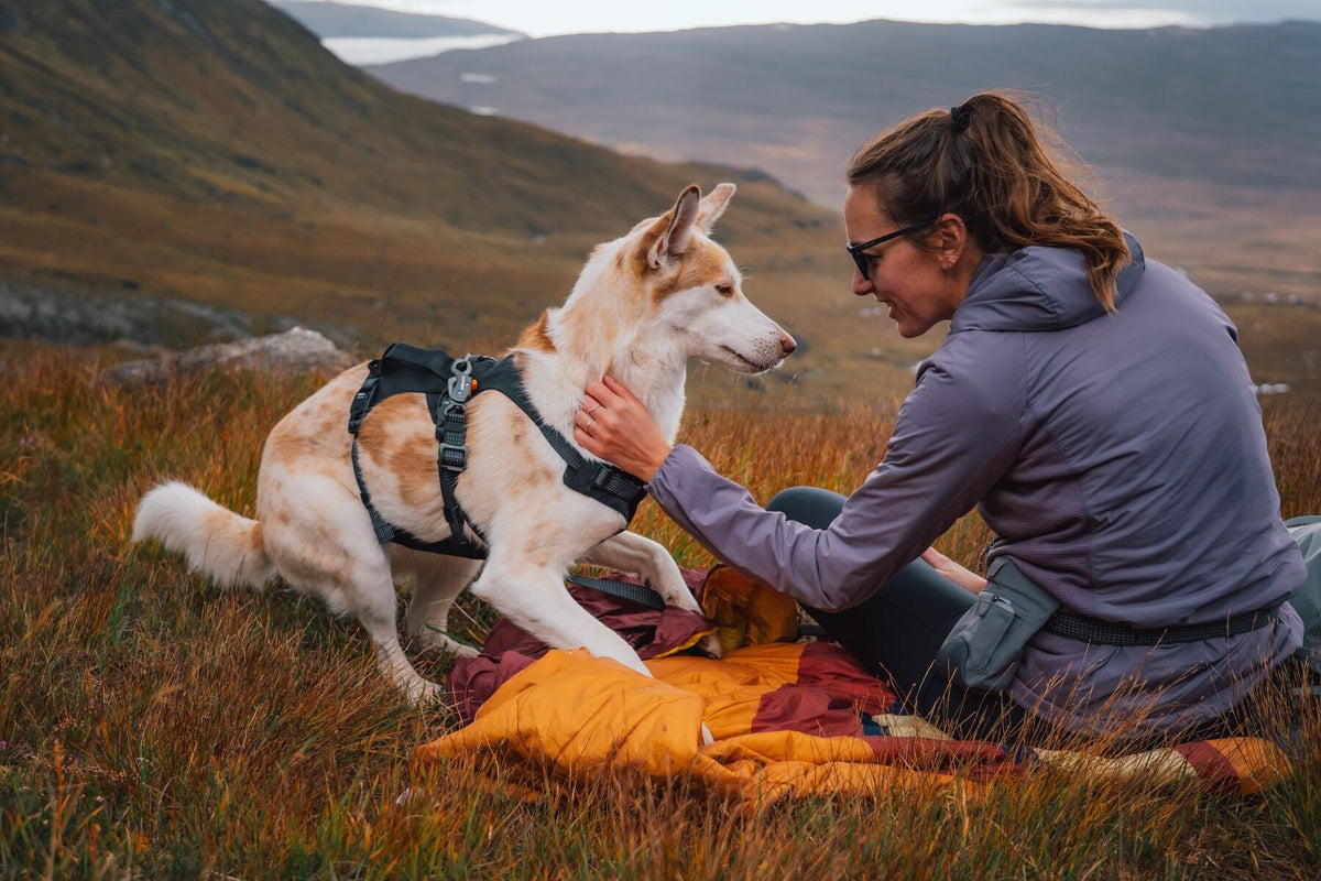 Ridgeline Dog Harness